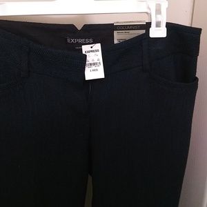 Express Columnist Pants